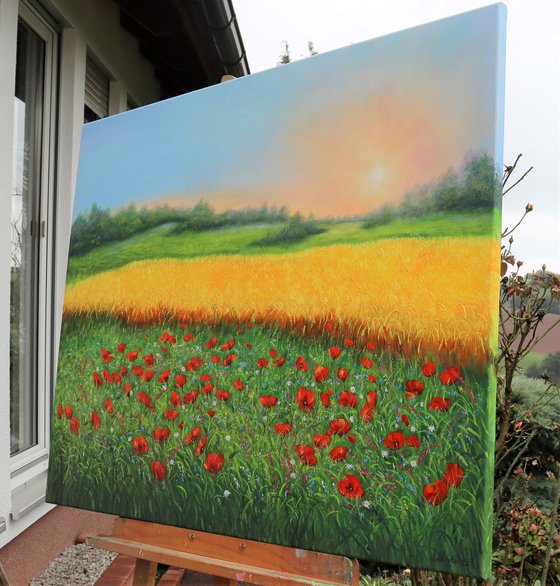 Sunrise at wheat field and poppy meadow