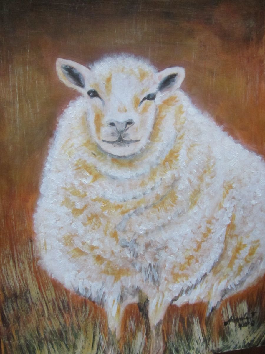 Sheep by Angela Titirig