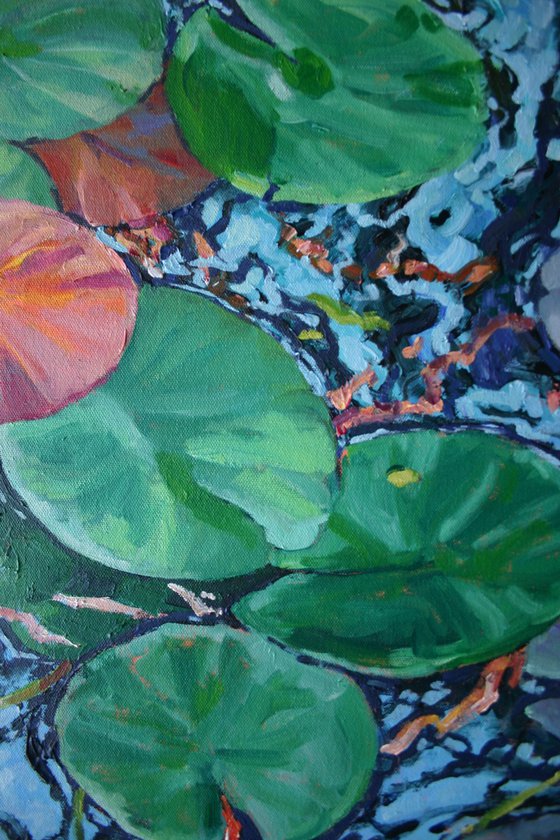 Water Lily Pads