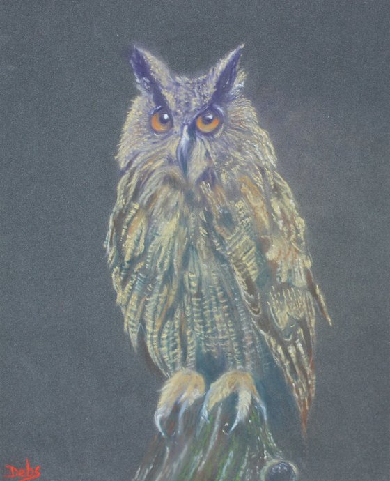 Wise Old Owl