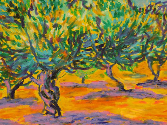 Olive grove No 24