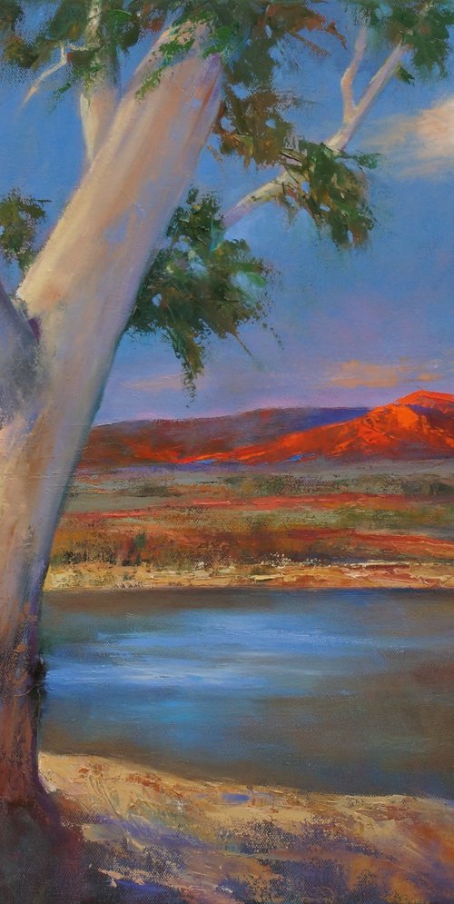 Whisper of the Ghost Gum by Sandra Michele Knight