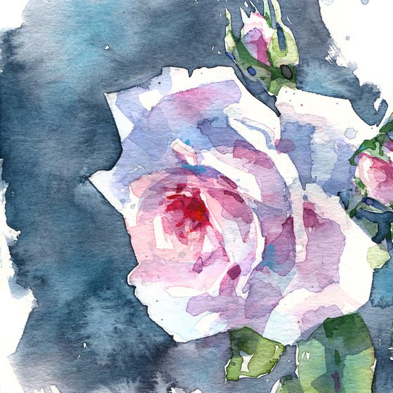 "Glow" - watercolor sketch of a light rose on a gray background