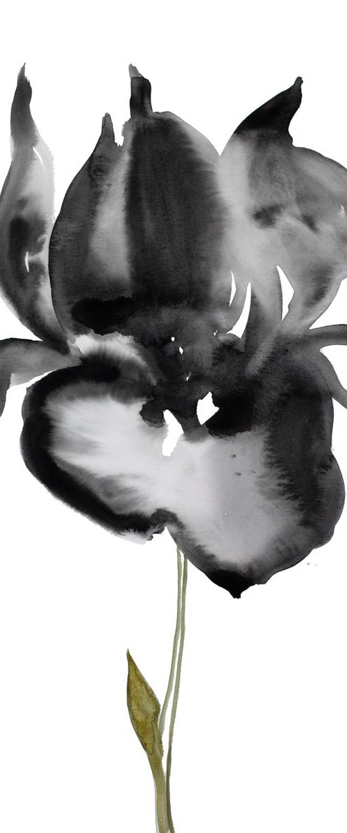 Iris No. 55 by Elizabeth Becker