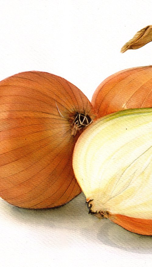 Onion by REME Jr.