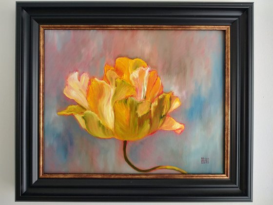 Yellow Tulip