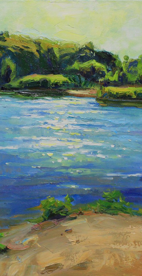 Midday on the river by Alisa Onipchenko-Cherniakovska