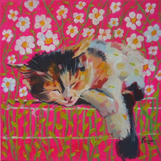 Colorful cats 1