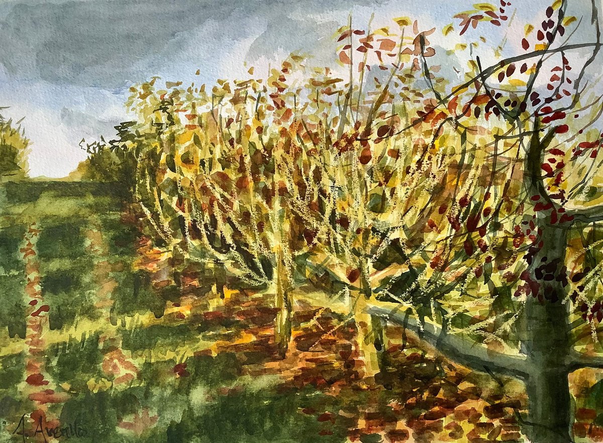 Autumn in the Orchard by Amanda Averillo