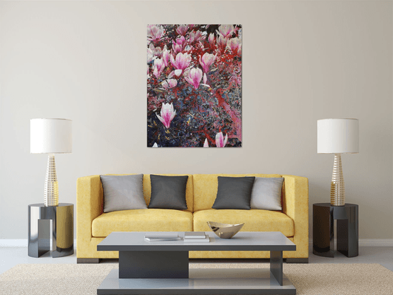 Magnolia versus Hazerl