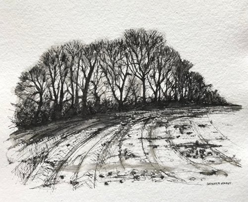 Winter Trees in Pen and Ink - Flitcham Norfolk Landscape by Catherine Winget