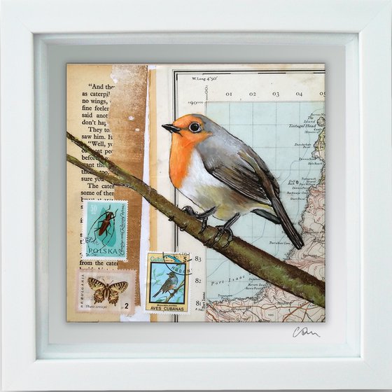 Robin- Ornithology #10 - Framed ready to hang original painting