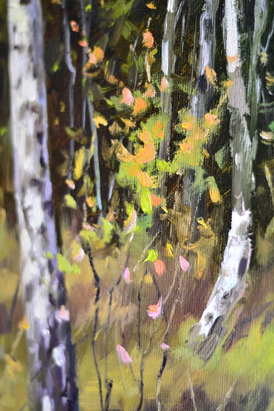 Birch grove