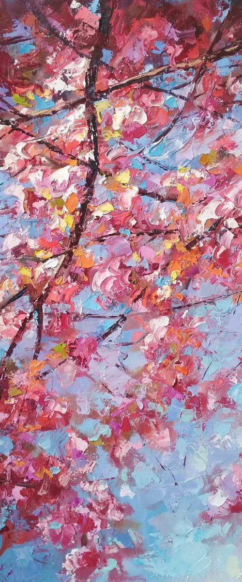 Sakura blossom by Andrej  Ostapchuk