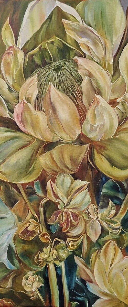 African protea by Olga Van Dine