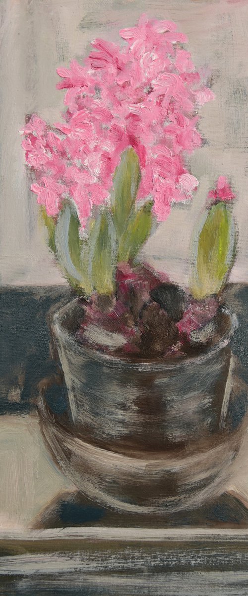 Hyacinth by Elena Zapassky