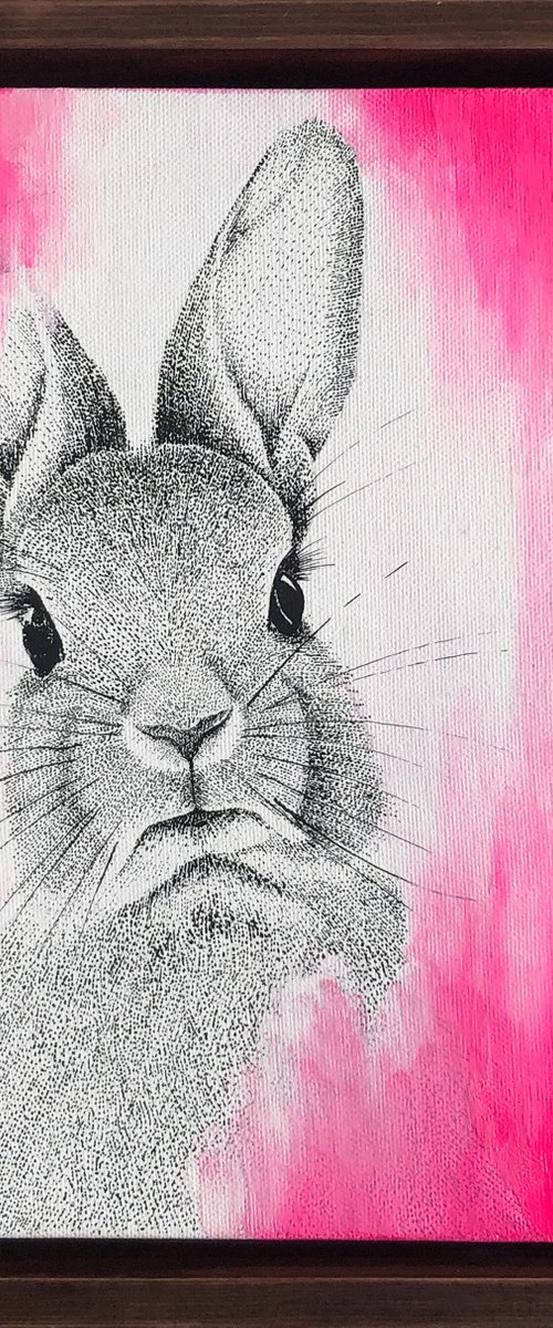Pinkest Pink Bunny by Kelsey Emblow