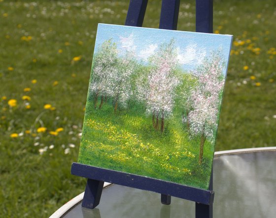 Spring landscape