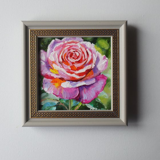 Rose Small Art Framed