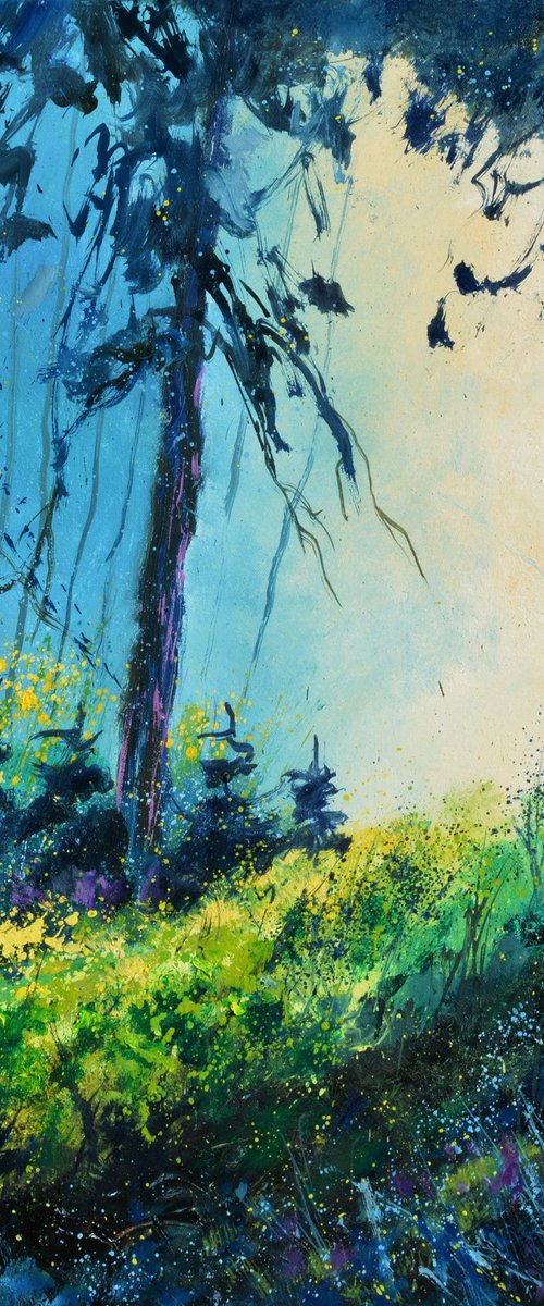 Light in the wood by Pol Henry Ledent