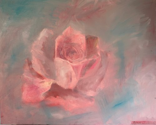 Pink Rose by Ryan  Louder