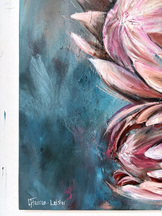 Proteas in Stillness