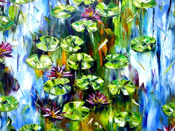 Water Lilies And Lotus Flowers