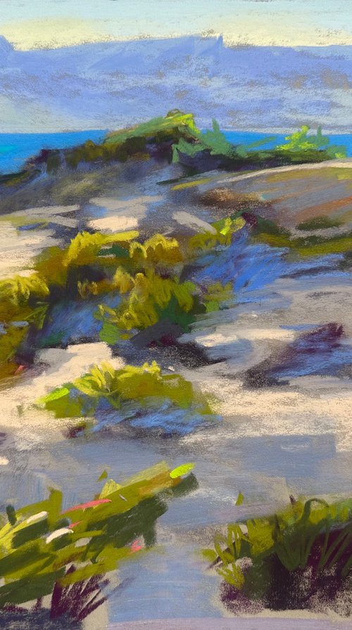 Dunes by Anna Bogushevskaya