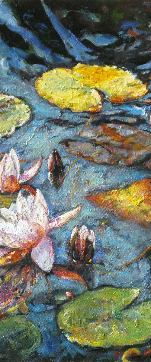 Water lilies by Elvira Sesenina