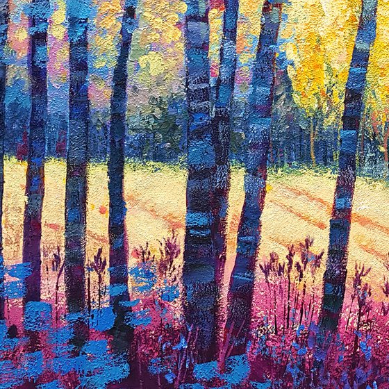 Sunbeams in the forest