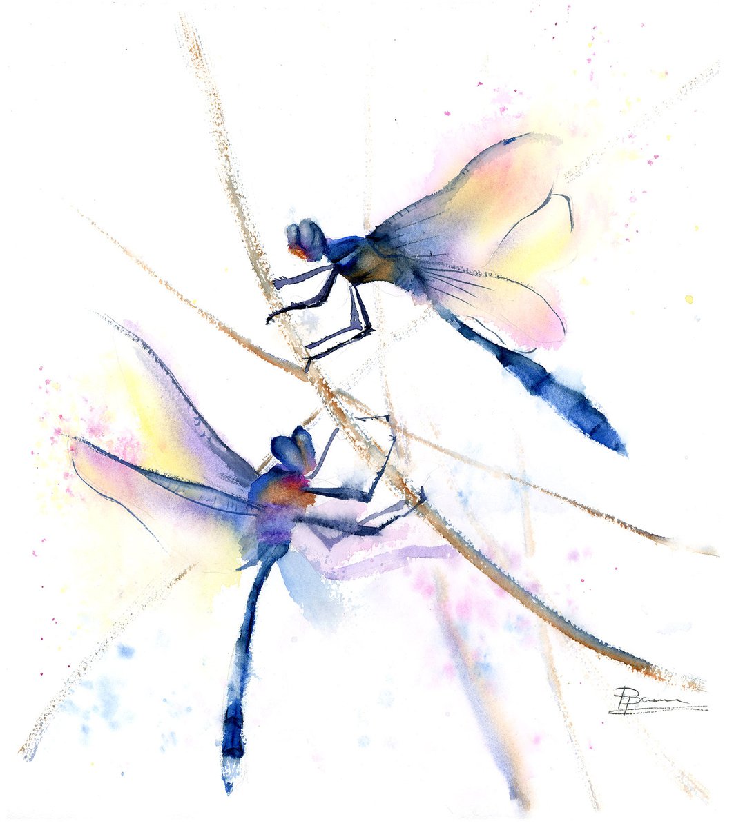 Couple of Dragonflies by Olga Shefranov (Tchefranova)