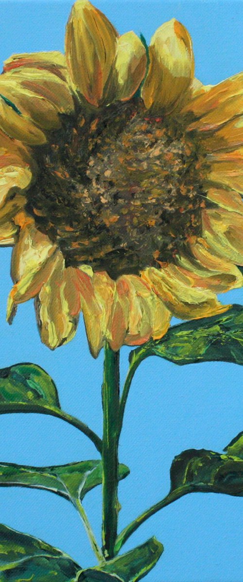 Sunflower by Linda Monk