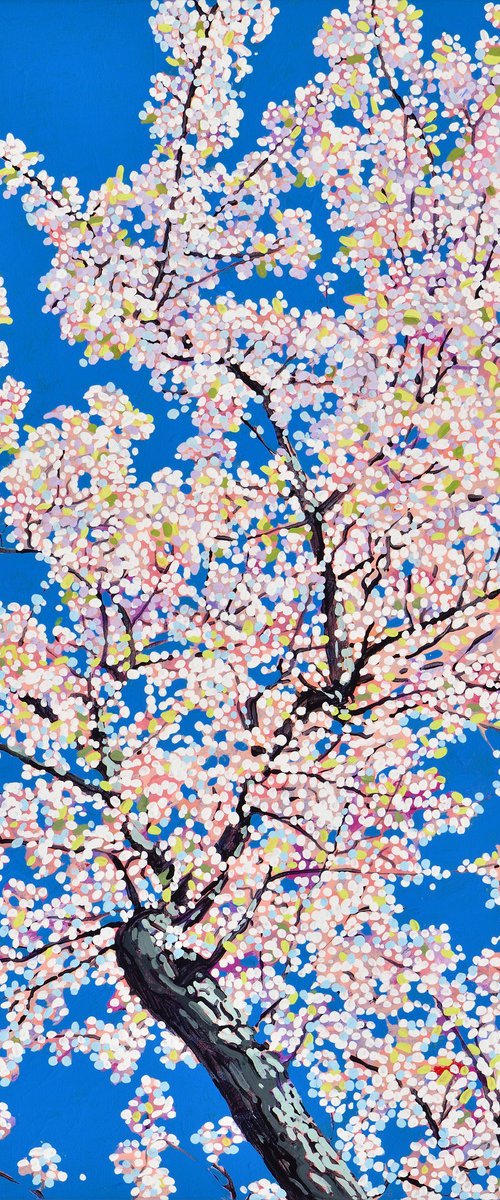 Cherry Blossom #8 by Alex Nizovsky