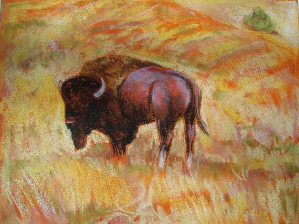 Solitary Buffalo I by Lorie Schackmann