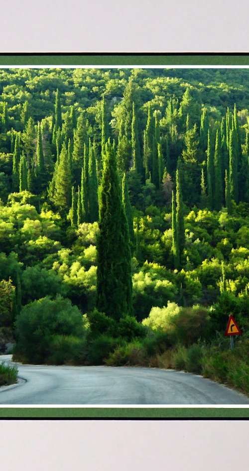 Winding through the Cyprus Forest Kefalonia by Robin Clarke