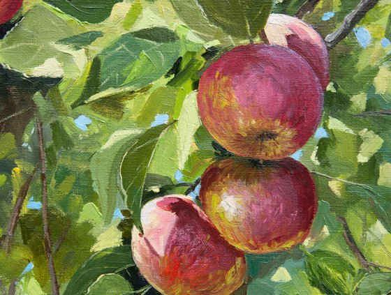 Apples. Oil painting. Original Art. 20 x 24in