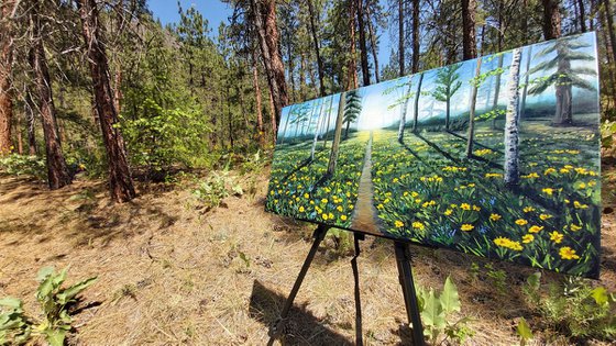 Path through the Balsamroot