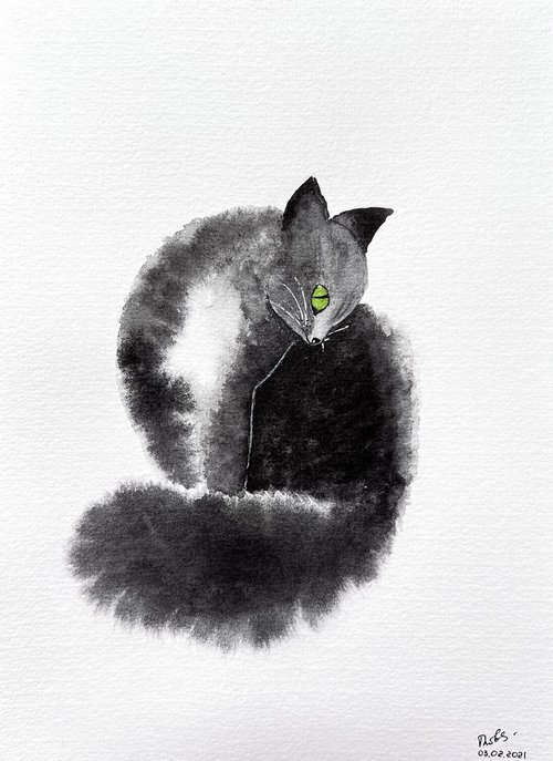 Fluffy black cat by Tetiana Kovalova