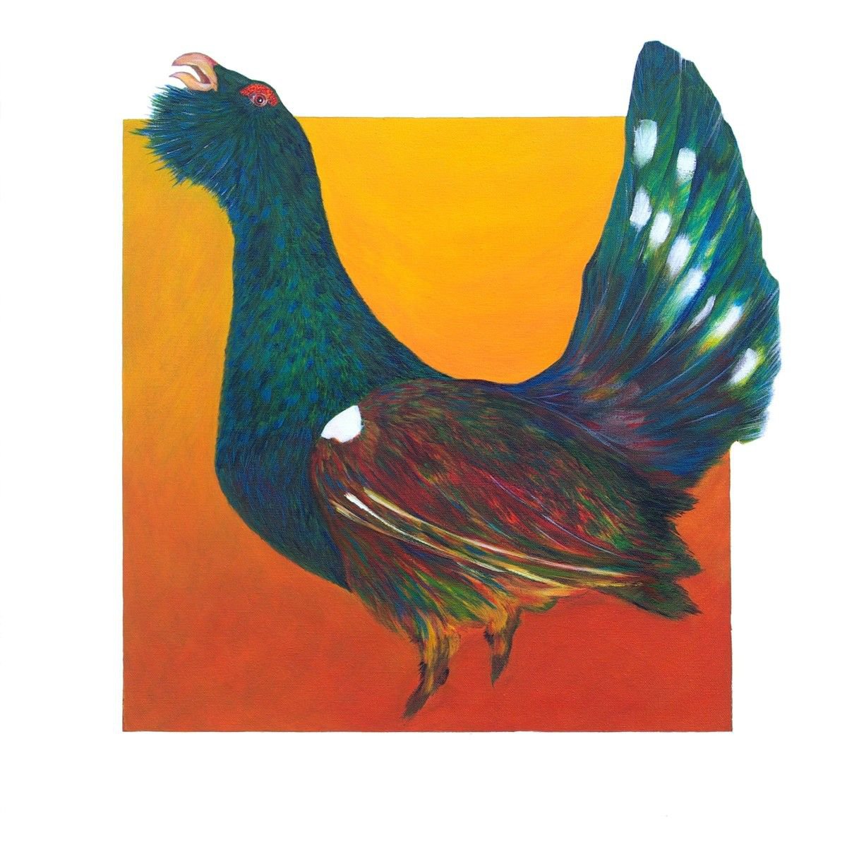 Capercaillie By Oconnart, 26 X 26, Artwork For Sale On Artfinder