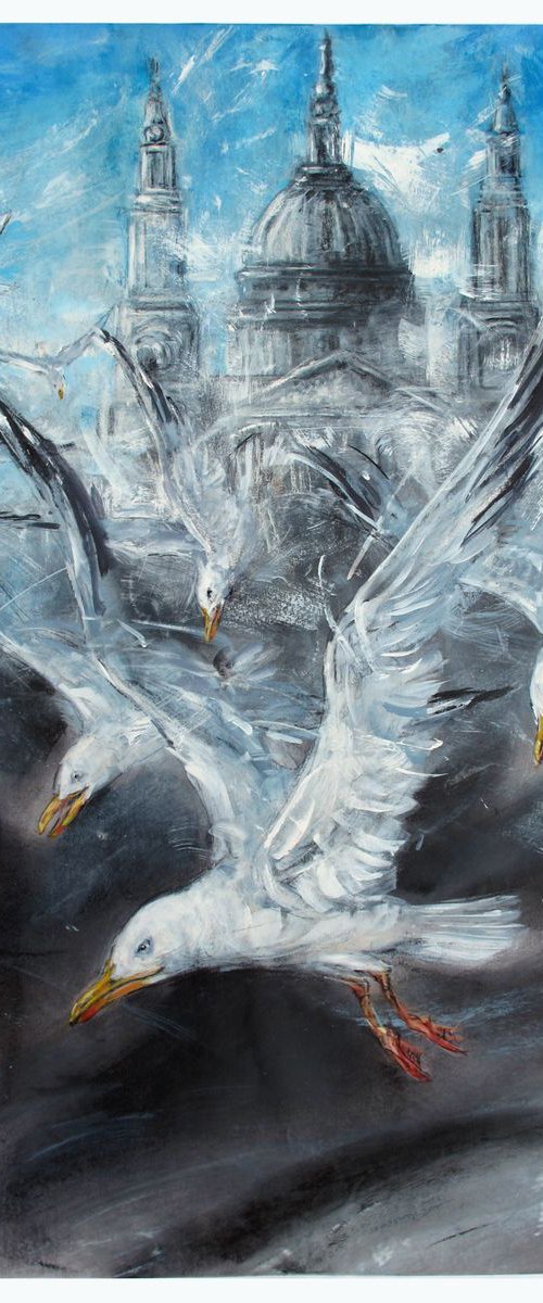 Gulls, St. Paul's 2 by John Sharp