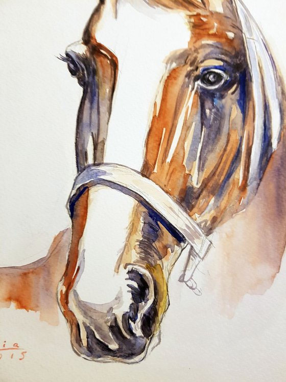 Horse by watercolor