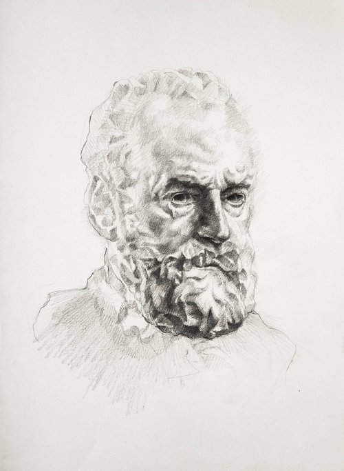 Portrait of Victor Hugo by Onur Karaalioğlu