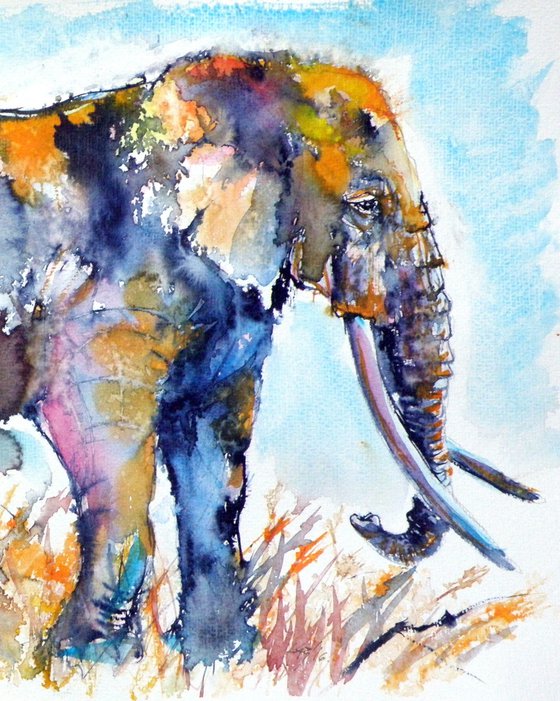 Colorful elephant II