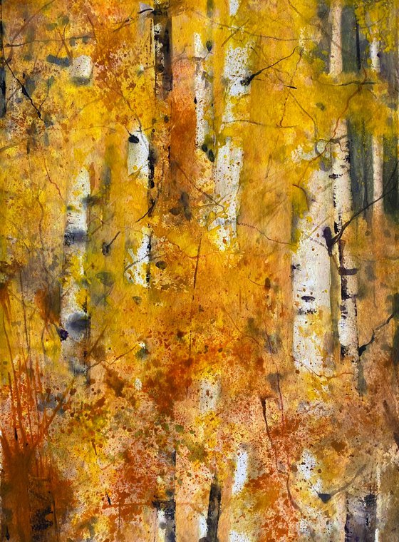 Silver Birch trees Autumn Leaves
