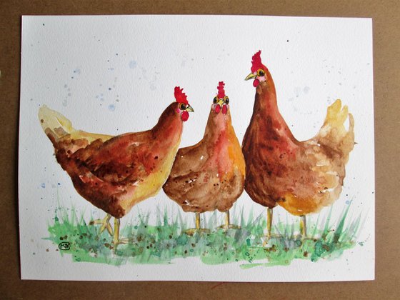 Free Range Chickens