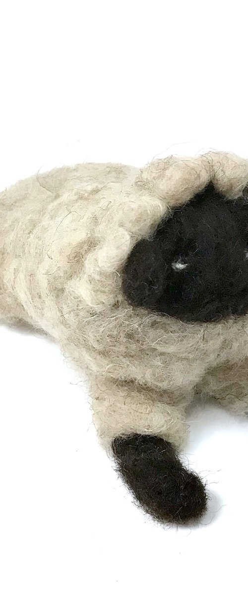 Black-headed sheep, wool by Eleanor Gabriel