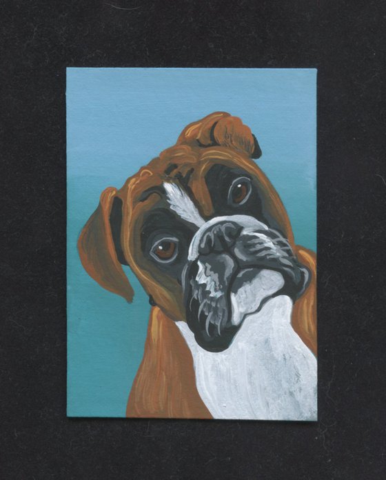 ACEO ATC Original Miniature Painting  Boxer Pet Dog Art-Carla Smale