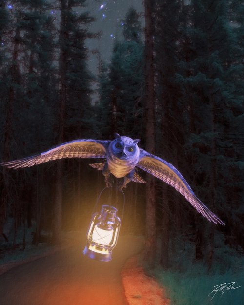 Night of the Owl by Tony Fowler