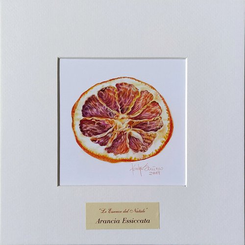 Arancia Essiccata (Dried Orange) by Katya Santoro