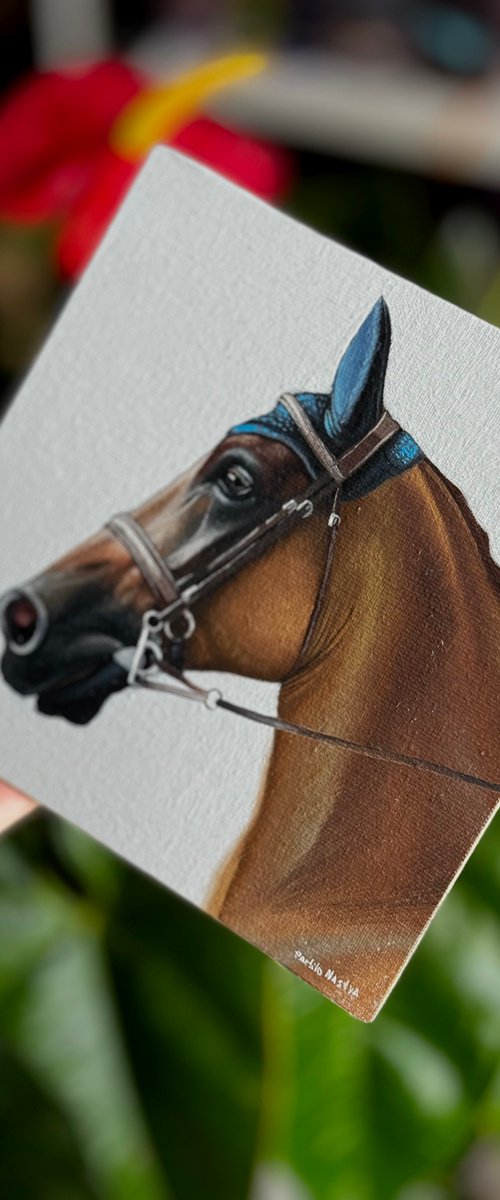 Horse Portrait 14 by Anastasia Parfilo